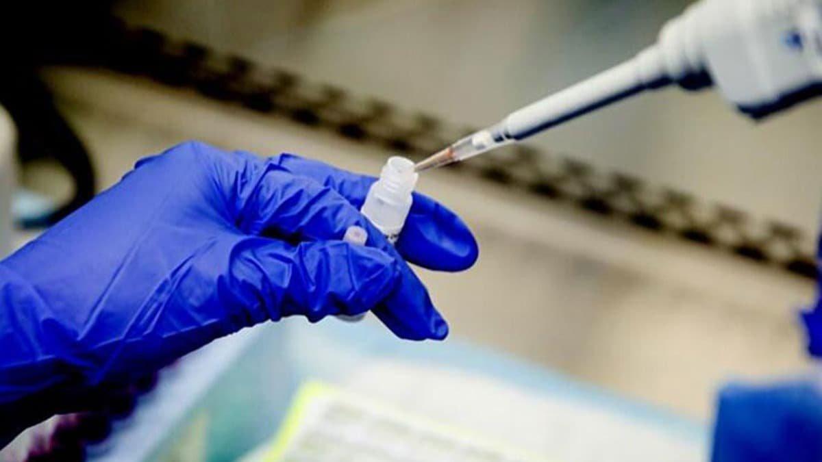 Koronavirüs aşısı için klinik denemelerde ikinci aşama
