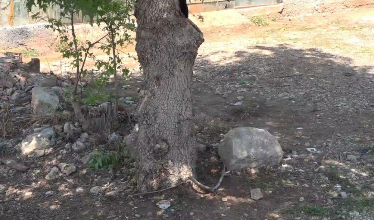 Antalya’da 10 yaşındaki kız çocuğu ölü bulundu