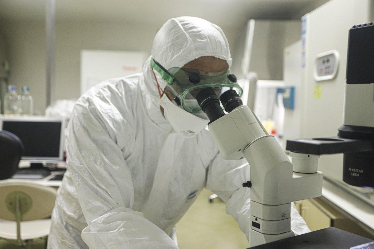 Koronavirüsün gen haritası çıkarıldı