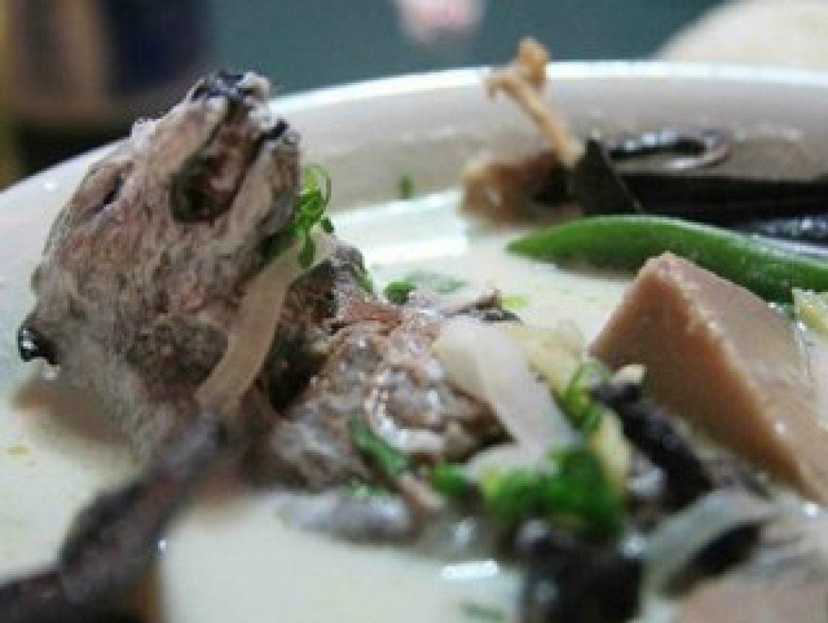 Yarasalar incelendi, 6 yeni virüs türü ortaya çıktı