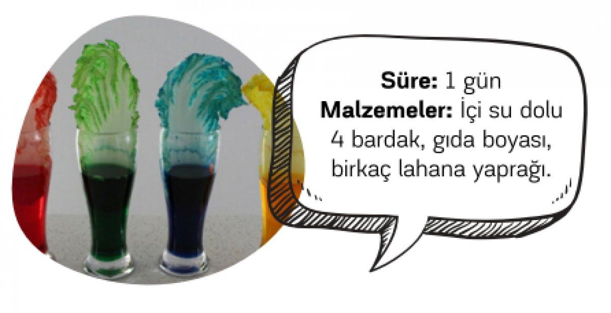 Çocuklar için evde yapılabilecek eğlenceli aktiviteler