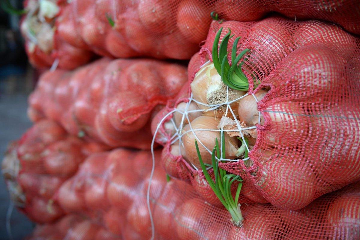 Koronavirüs nedeniyle halde fiyatlar yarı yarıya düştü