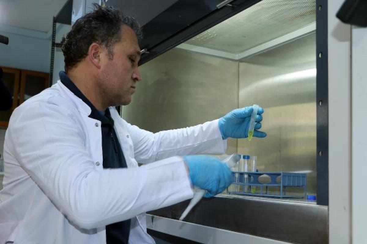 Çukurova Üniversitesi, koronaya alternatif tedavi geliştirdi