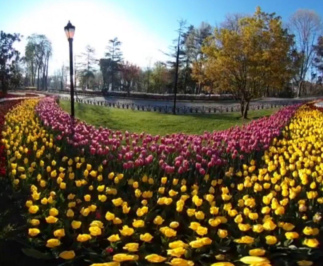 İstanbul'da lale mevsimi