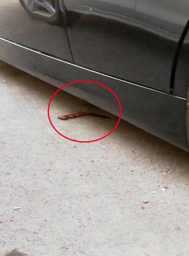 Annesinin evlenmesine kızdı, üvey babasını bıçakladı