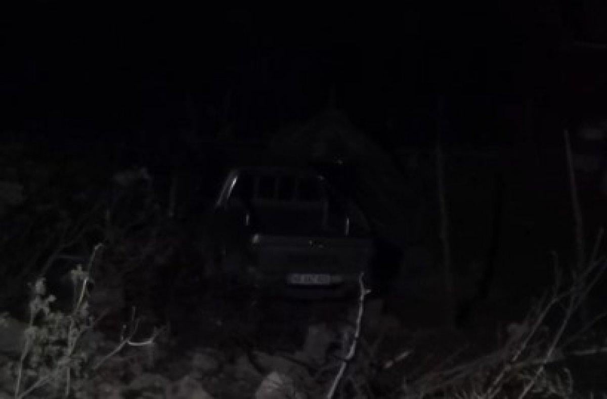 Köpek araca zarar verdi, dayısı ve kuzenini öldürdü