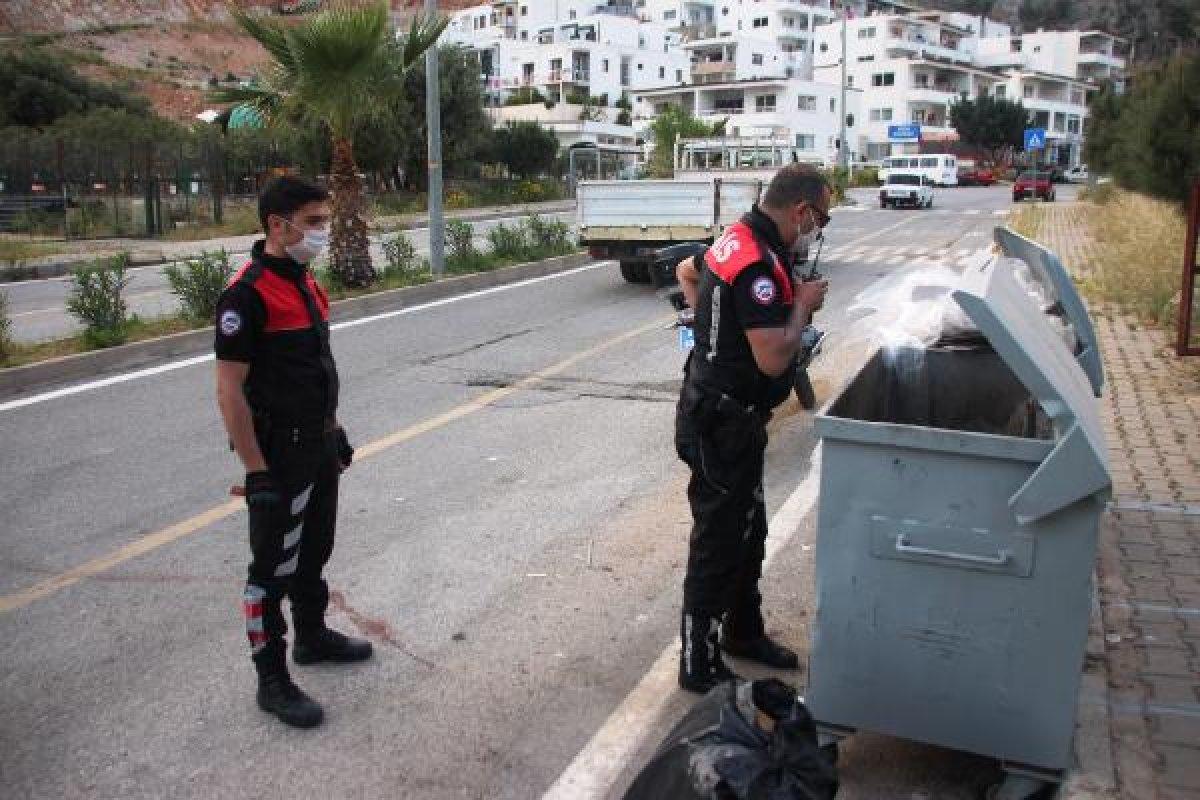Bodrum'da bir çoban, köpeği öldürüp çöpe attı