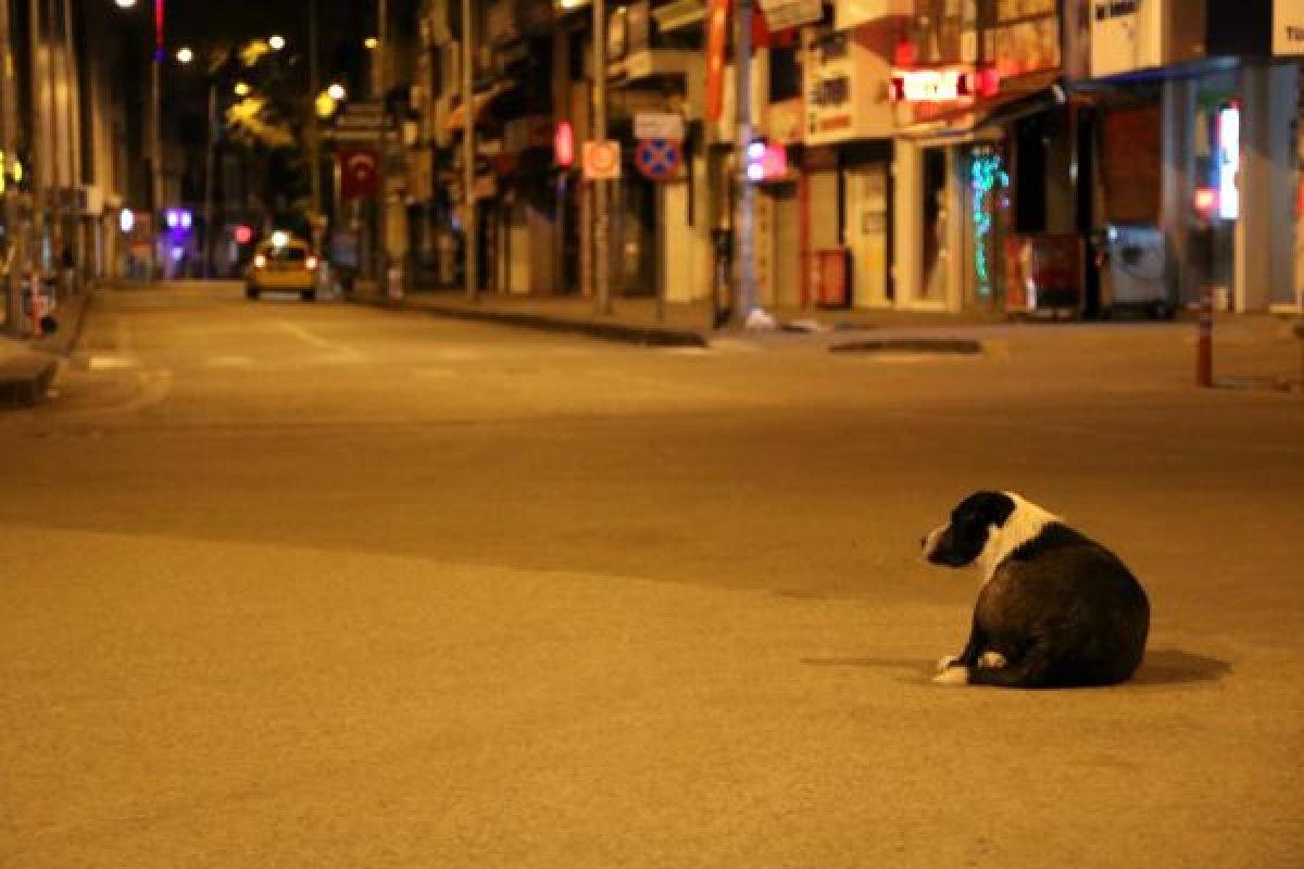 4 günlük sokağa çıkma yasağı başladı