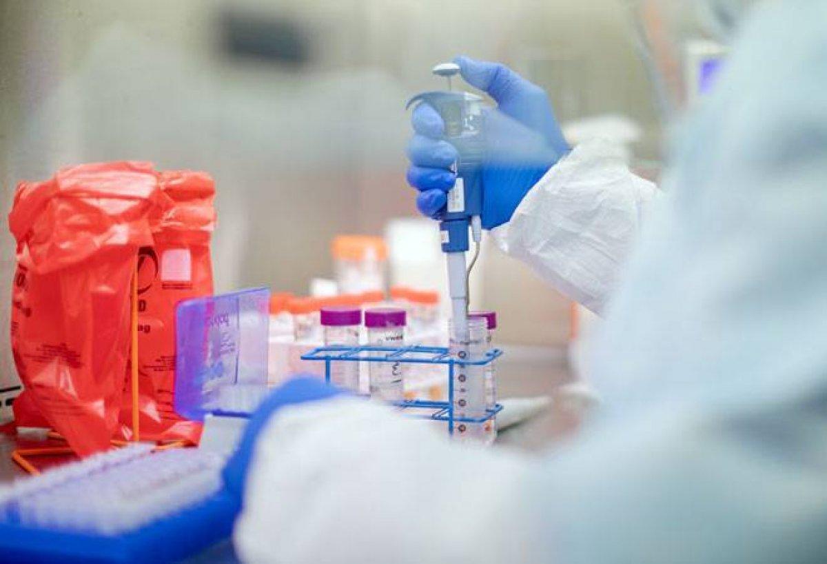 Koronavirüs, belirli hücreleri hedef alıyor