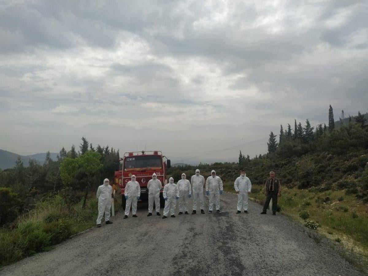 İzmir’de 2 bin 345 adet terminatör böcek ormana bırakıldı