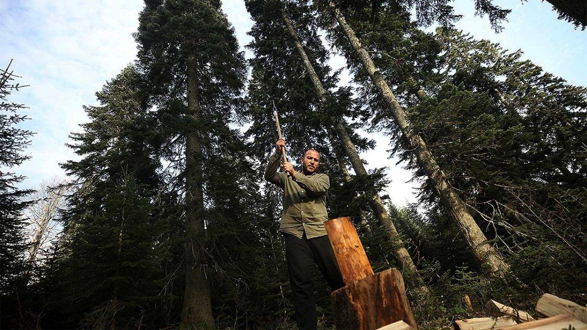 Koronadan kaçmak için Düzce'nin yaylalarına çıktı