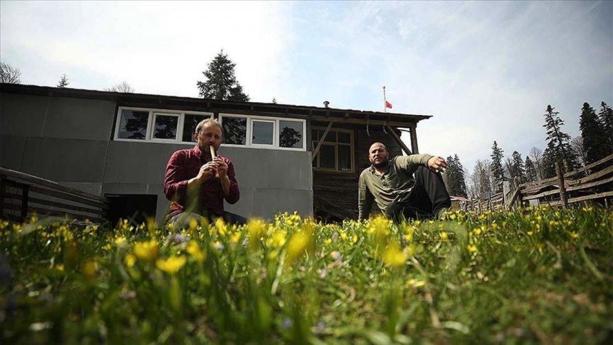 Koronadan kaçmak için Düzce'nin yaylalarına çıktı