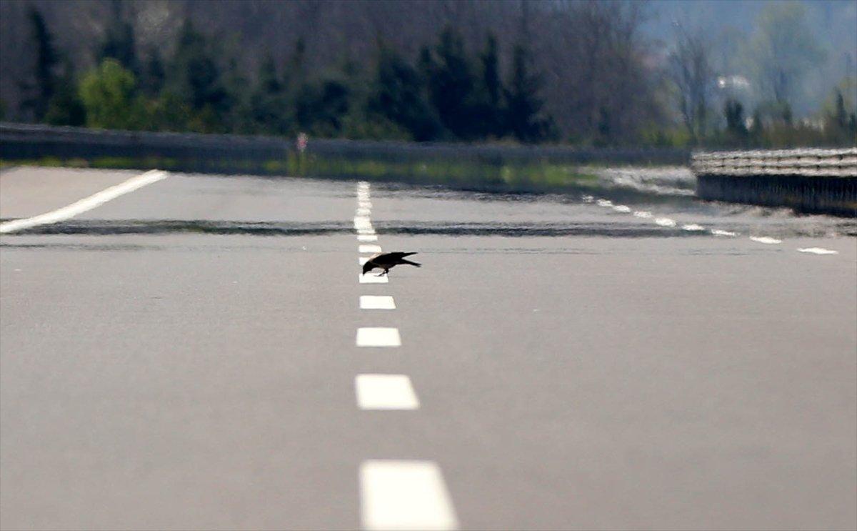 Sağlık Bakanı Koca, normale dönüş planını anlattı