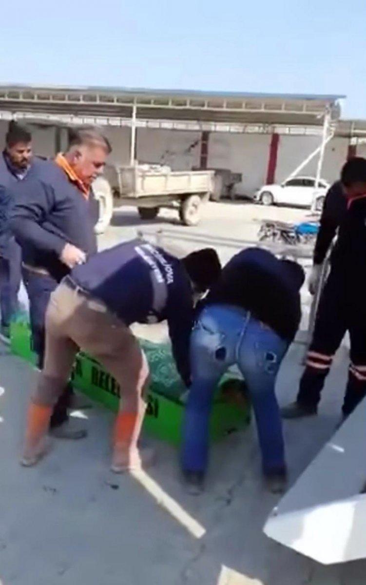 Belediye personellerinden ilginç tabut şakası