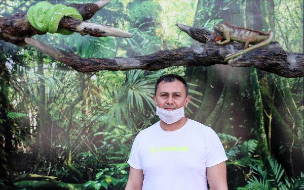 Sürüngen ve bukalemun yavrusu karantinada büyüyor