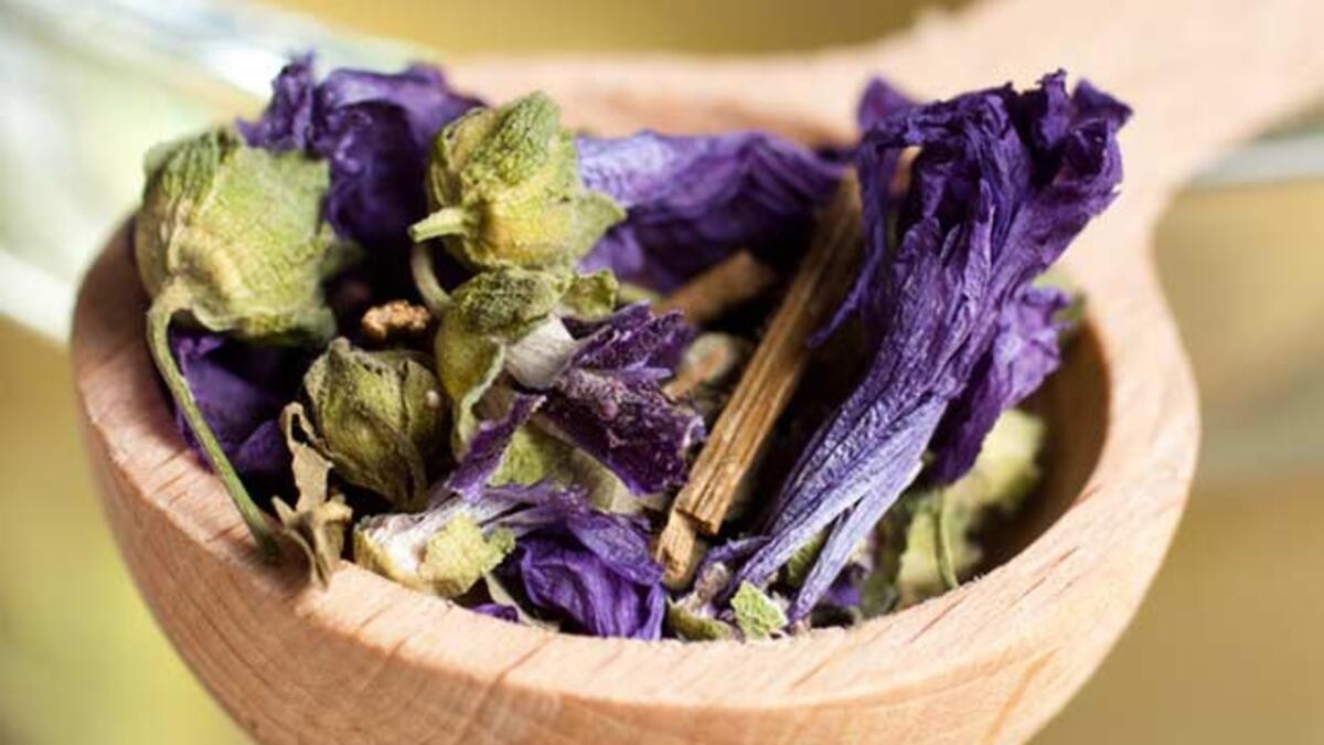 Hatmi çiçeği nedir