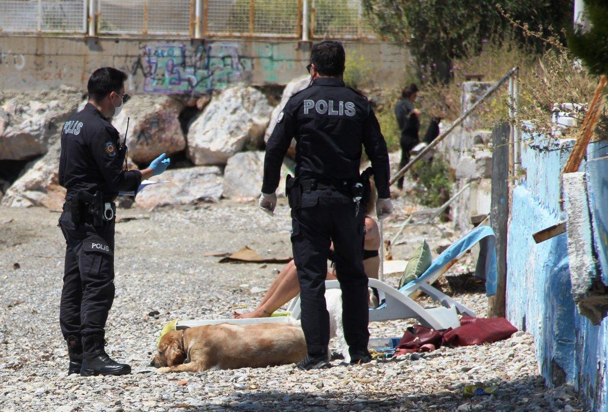 Bodrum’da sahilde sere serpe güneşlenirken yakalandı