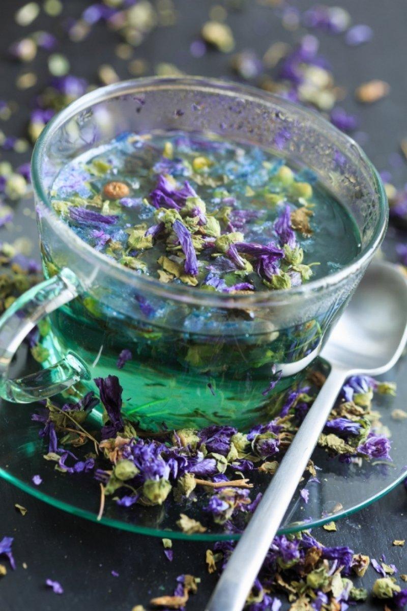 Hatmi çiçeği nedir