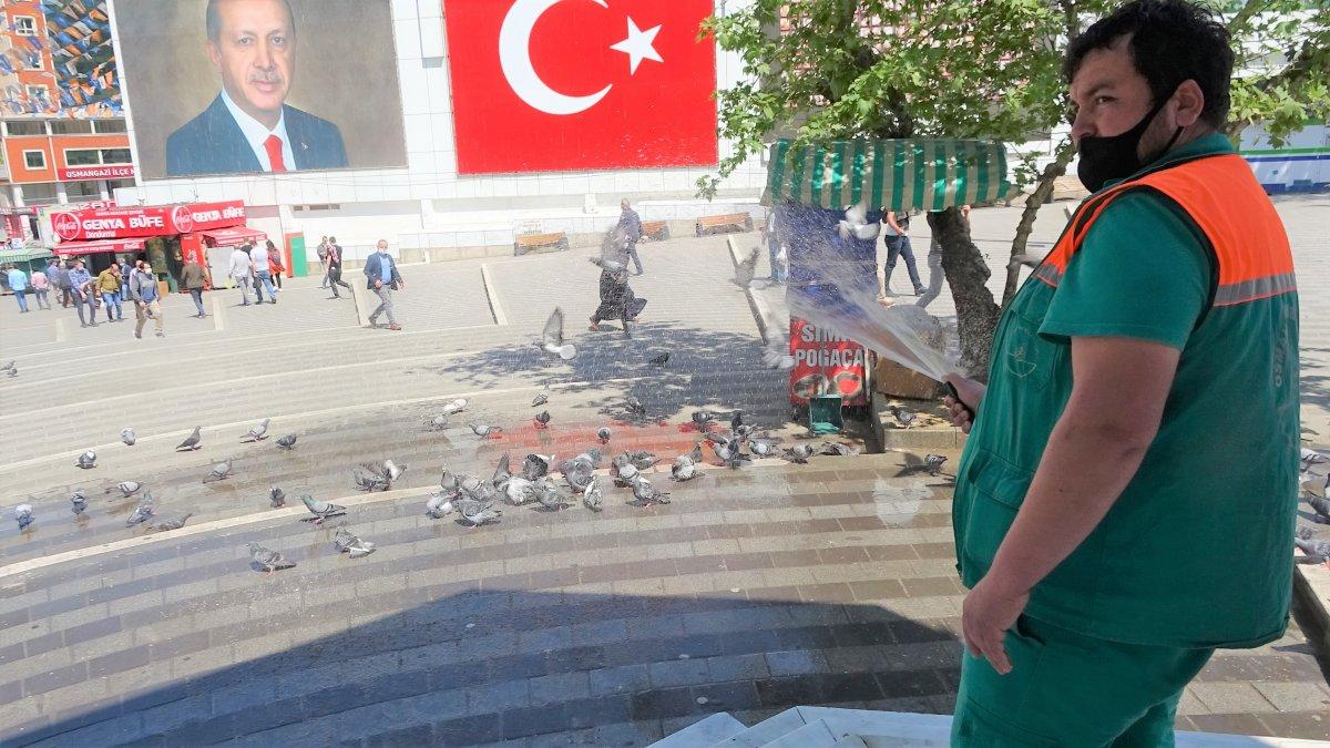 Bursa'da güvercinler banyo yapmak için sıra bekliyor