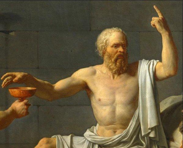 Baldıran zehri nedir