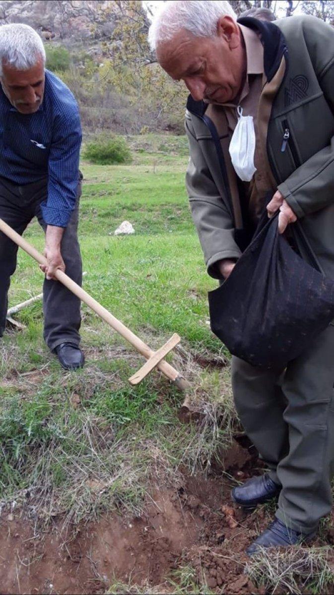 Elazığ'da kaçak salep soğanı toplayan 6 kişiye ceza