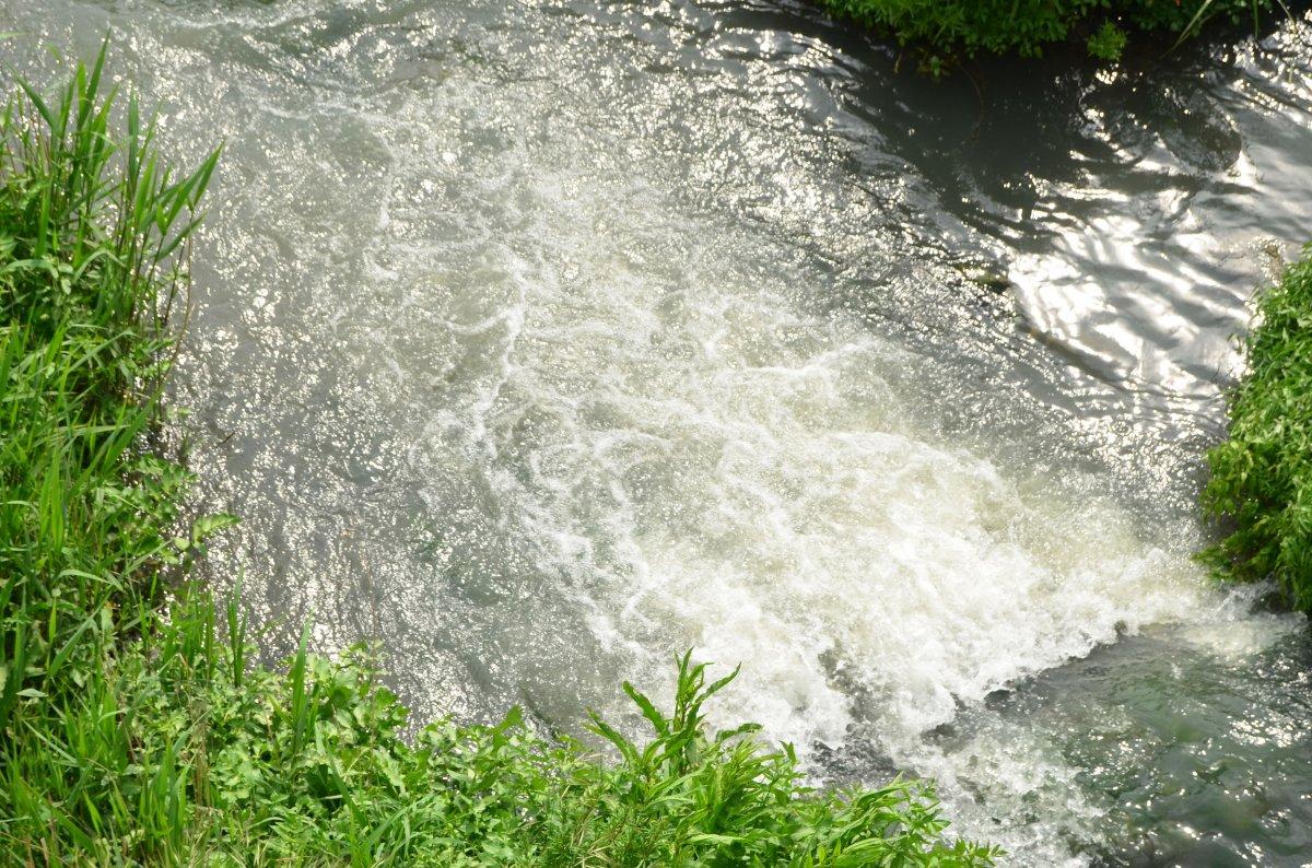 30 yıldır kirli olan dere kendi kendine temizlendi