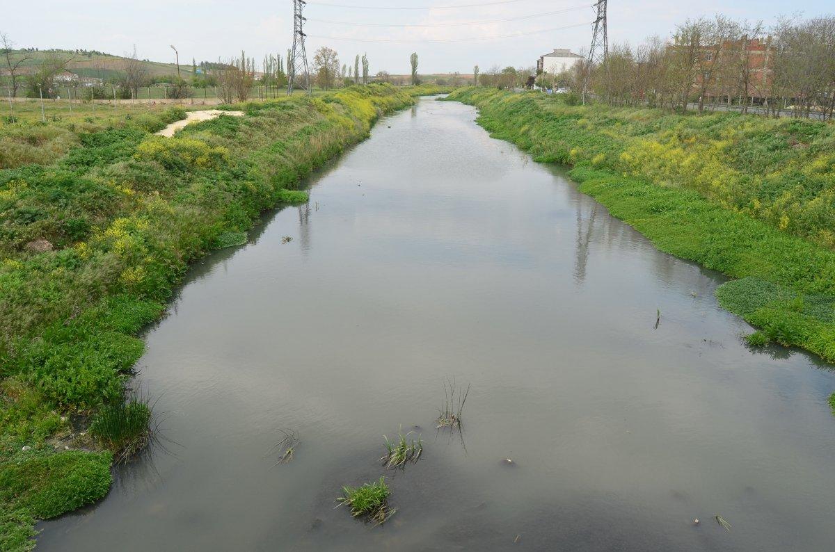 30 yıldır kirli olan dere kendi kendine temizlendi