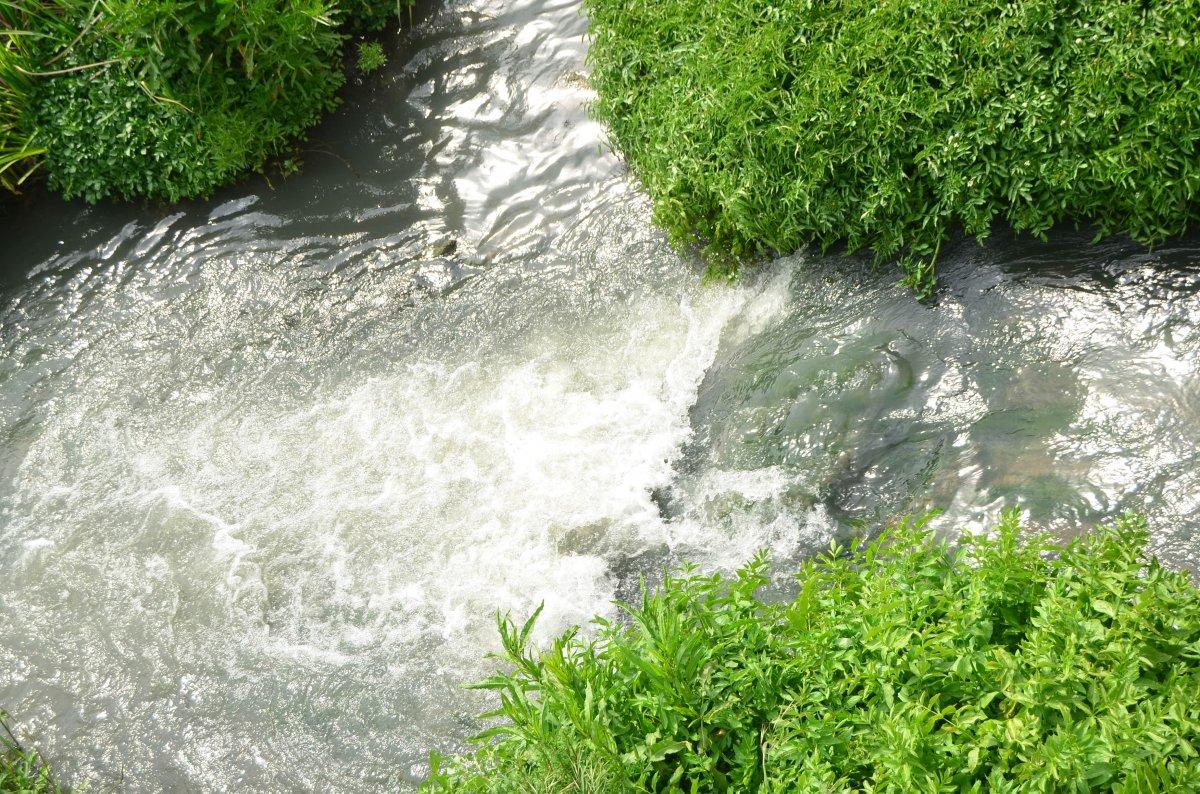 30 yıldır kirli olan dere kendi kendine temizlendi