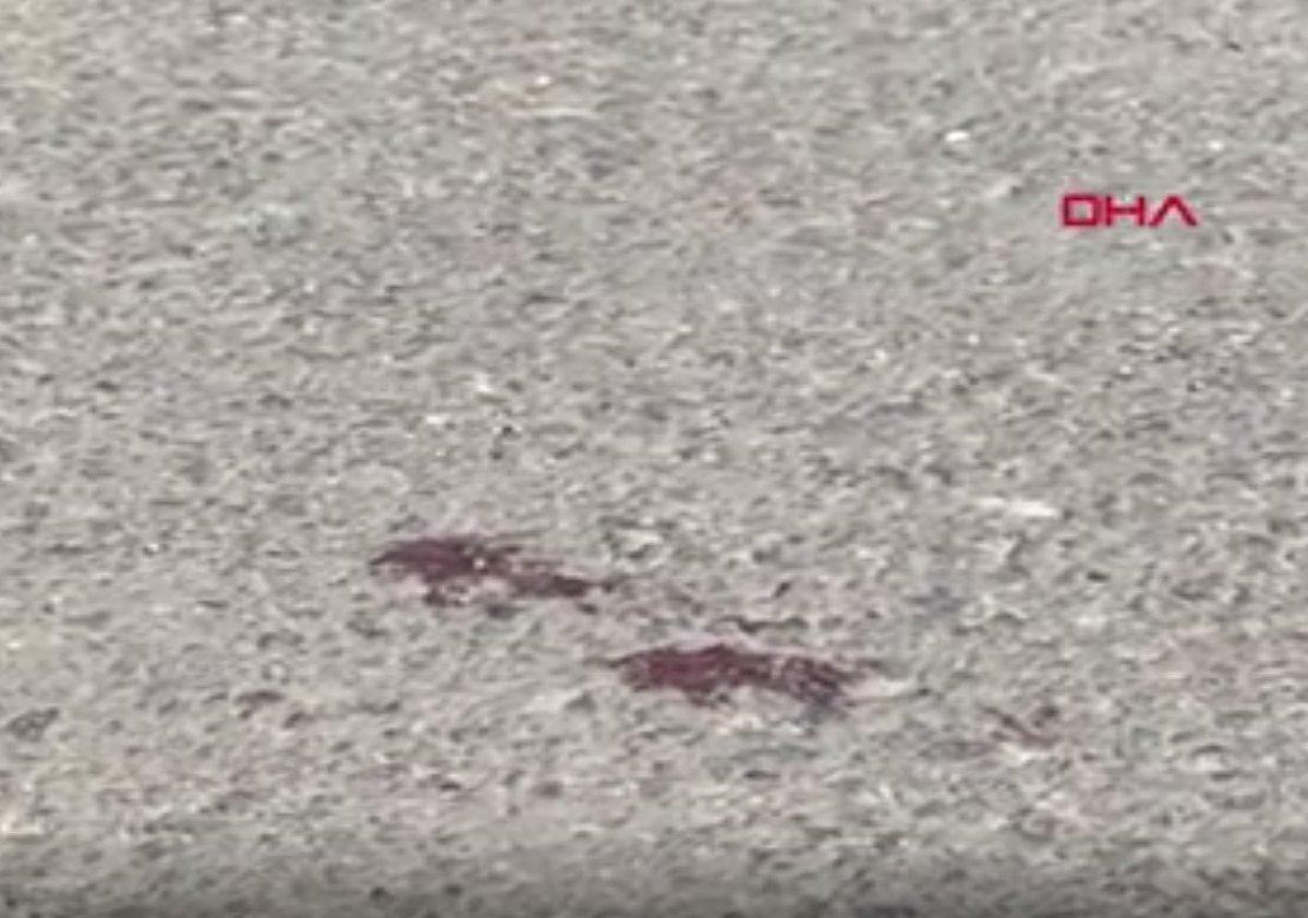 Kızının kesik başıyla yakalanan kadın: Tanrı yargılar