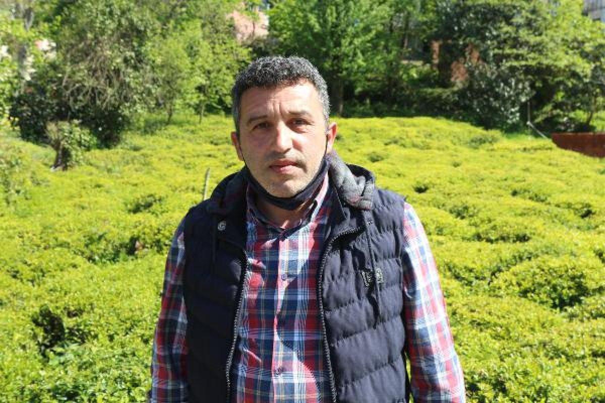 Rize'de 2 bin çay işçisi aranıyor