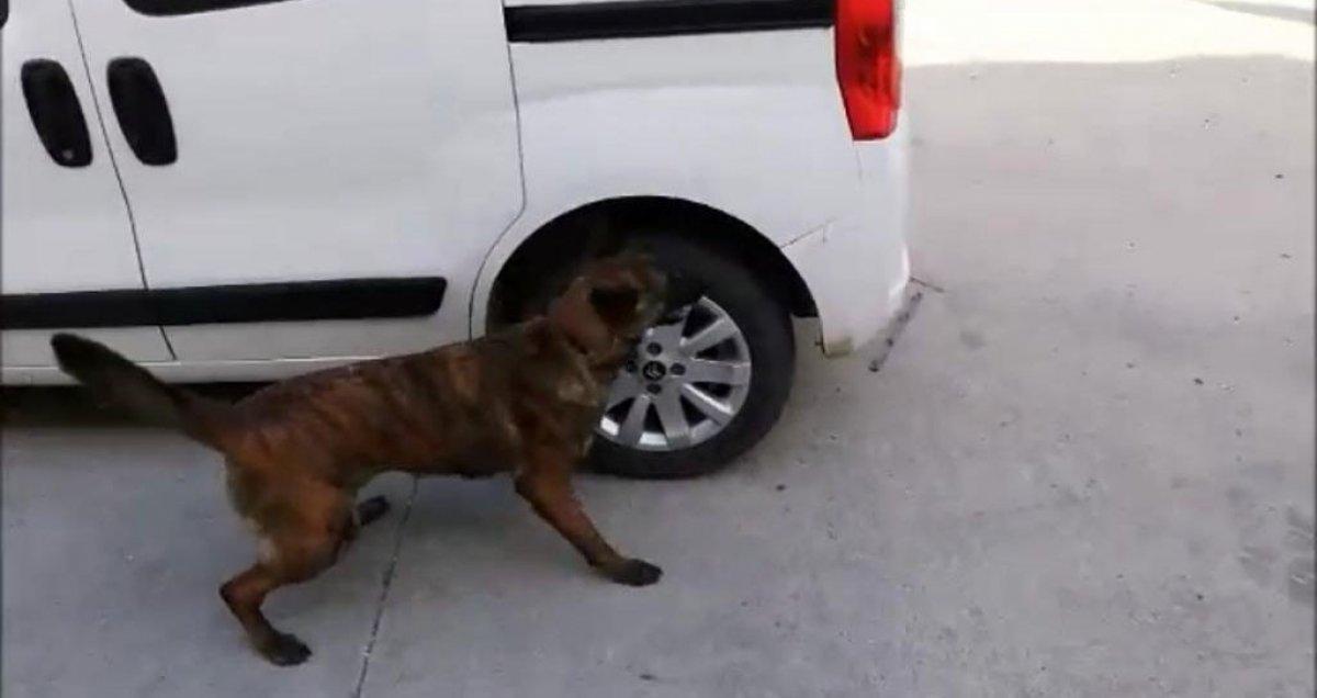 Aracın çamurluğuna uyuşturucu gizlemişler