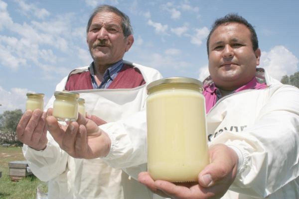 Kilosu 16 bin TL olan arı sütüne korona ilgisi