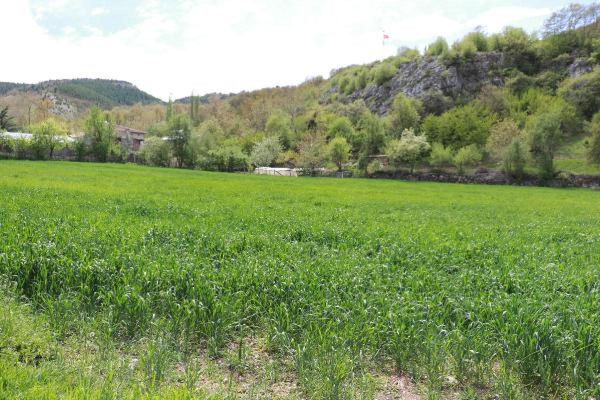 Samsun'da ambulans helikoptere izin vermeyen kadın konuştu