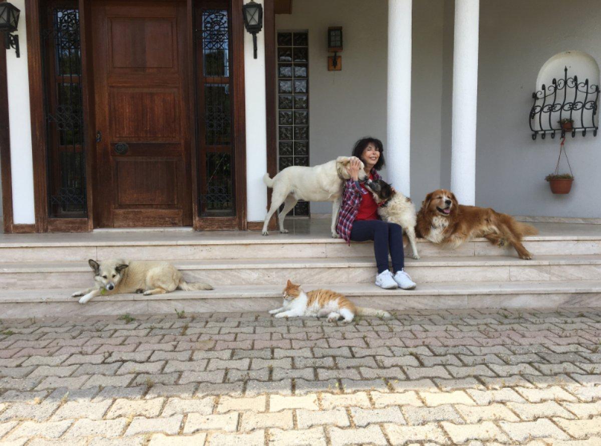 Ayla Satıç ile romanı Cumbadaki Deli Kadın’ı konuştuk