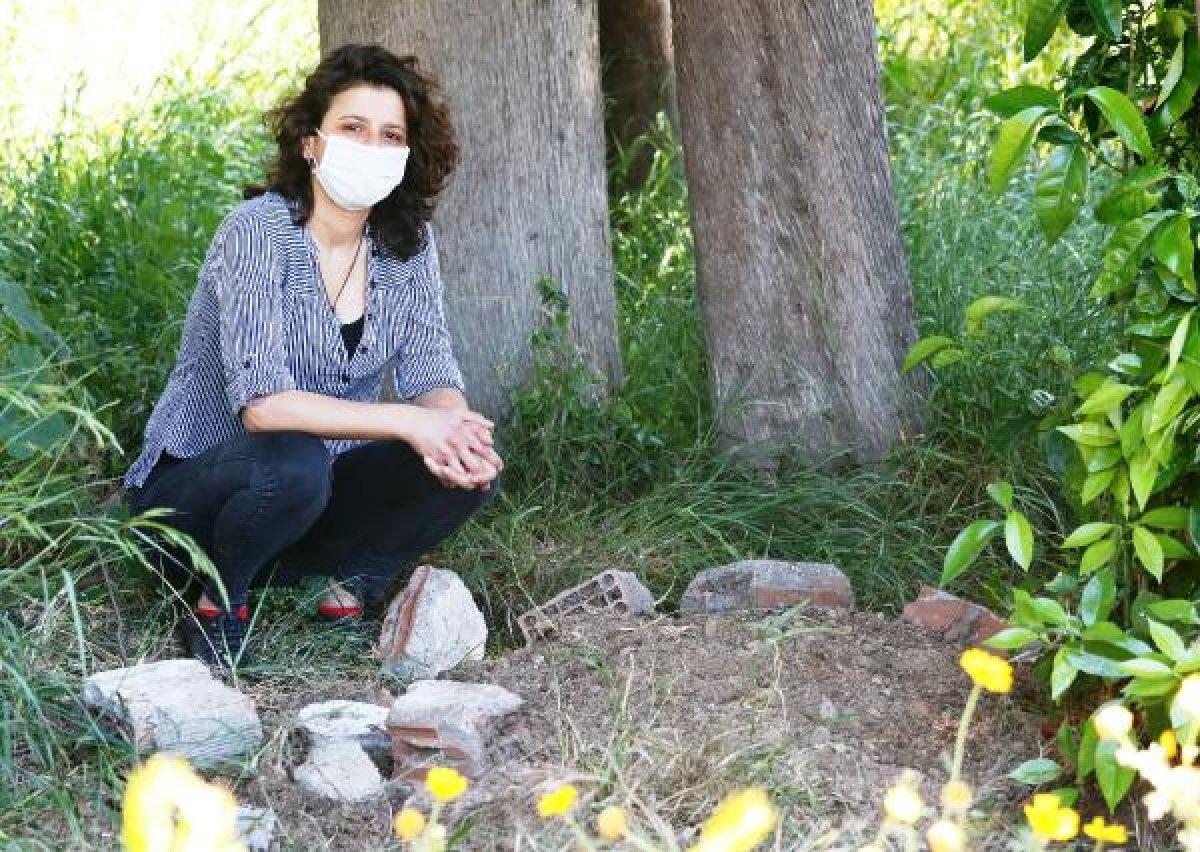 Antalya'da 5 yavru köpek zehirlenerek öldürüldü