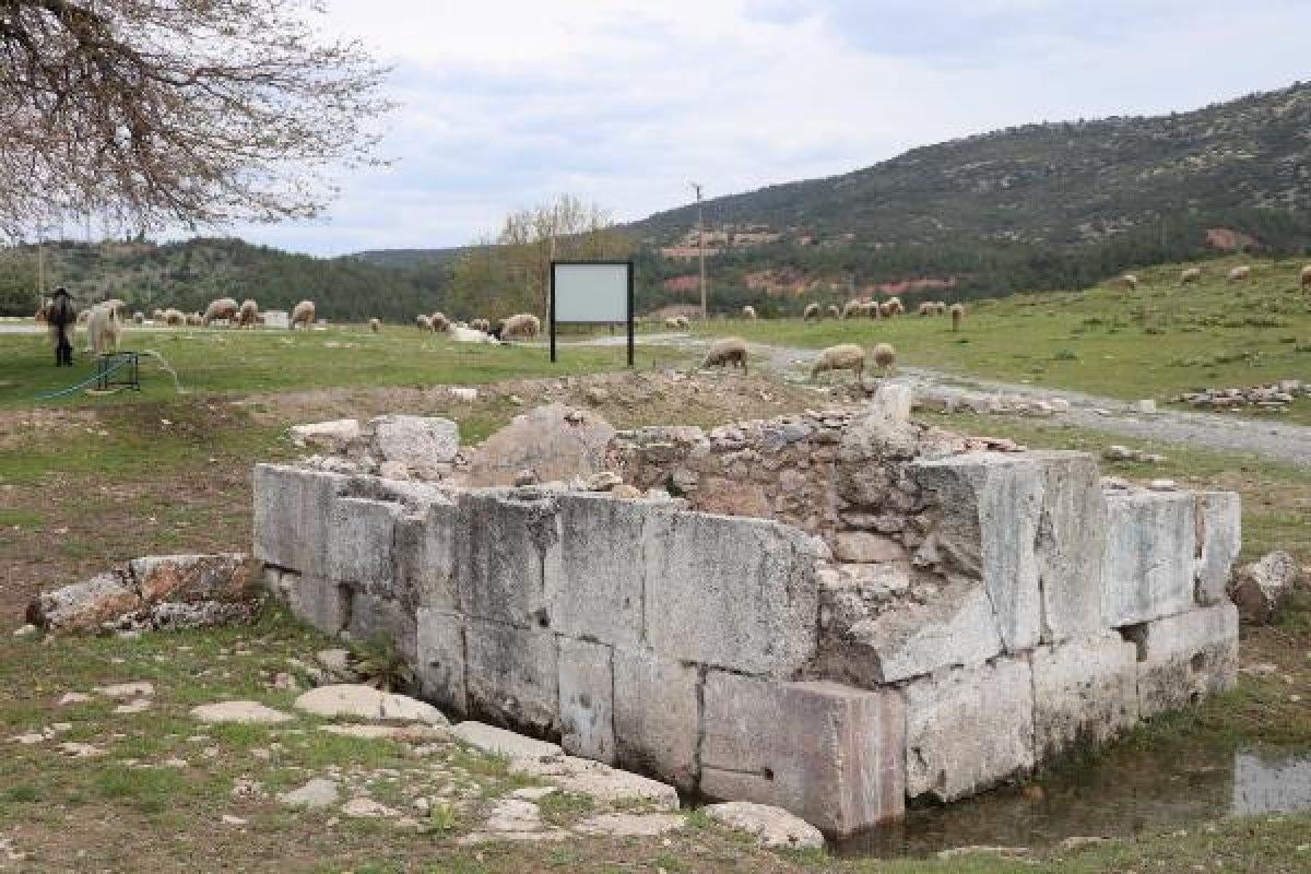Tabea Antik Kenti'ne koyun sürüsü girdi