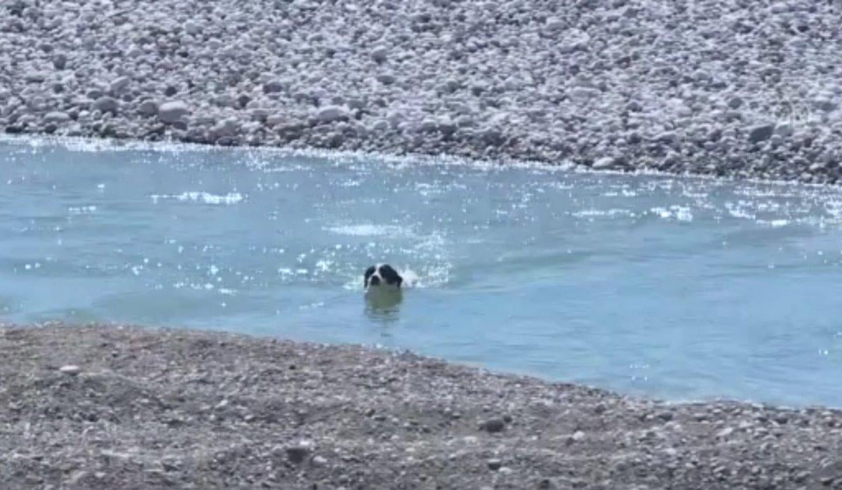Konyaaltı sahilini boş görünce dayanamadı, cezayı yedi