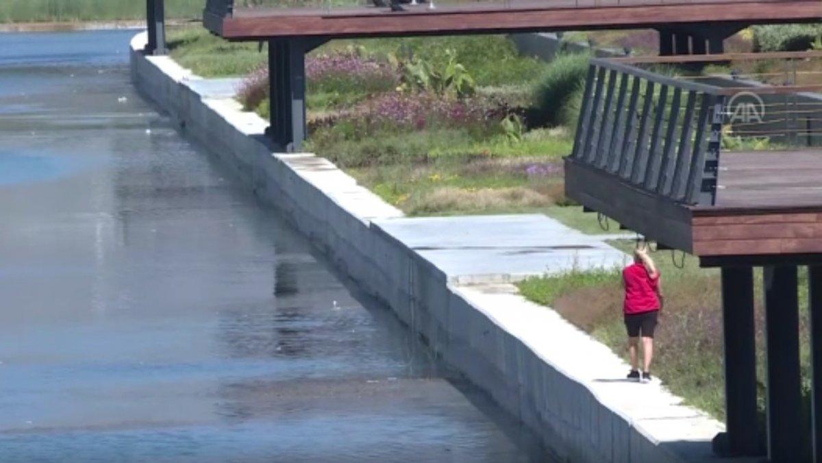 Konyaaltı sahilini boş görünce dayanamadı, cezayı yedi