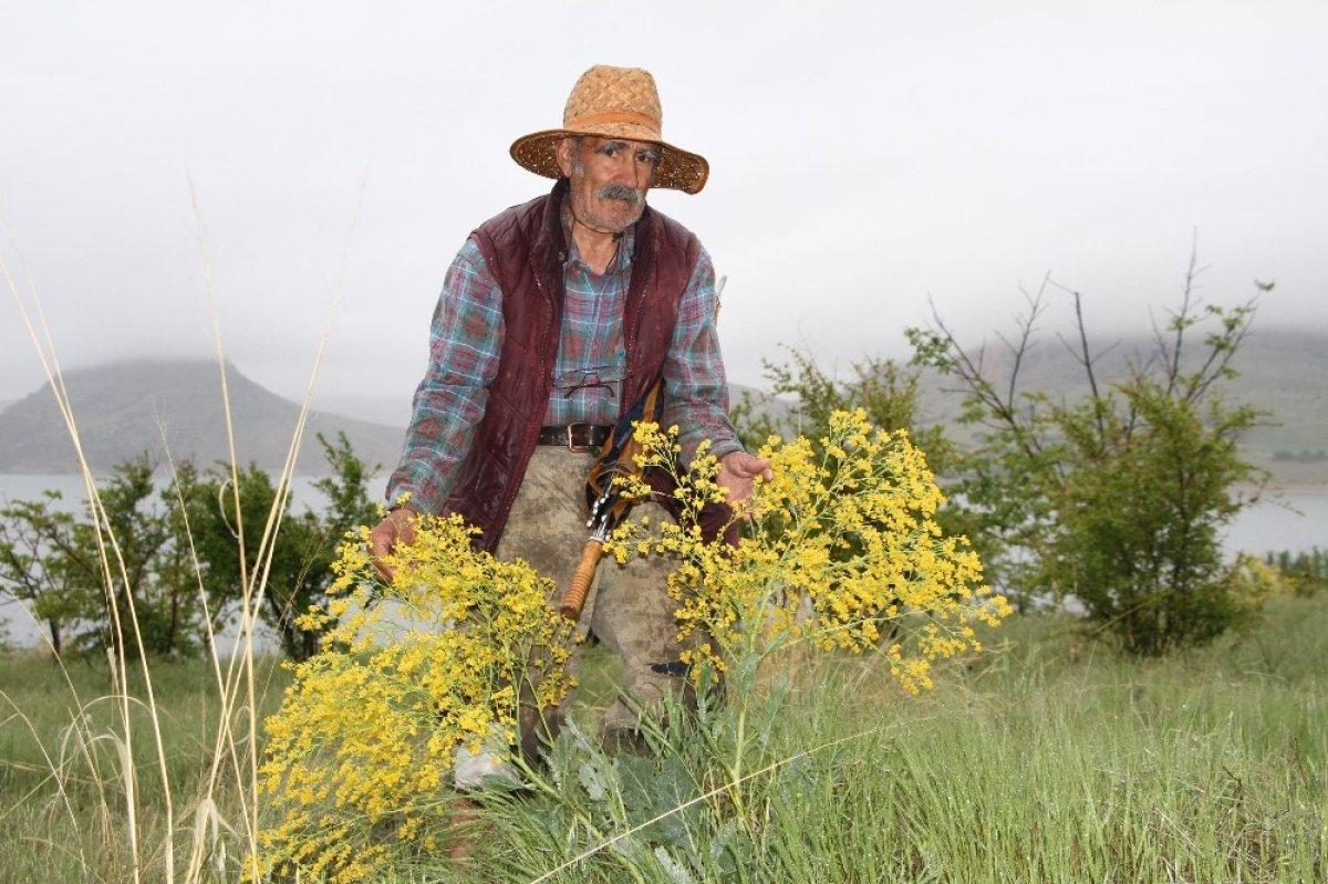 Ziya dede 4 saatlik izinde adasına koştu