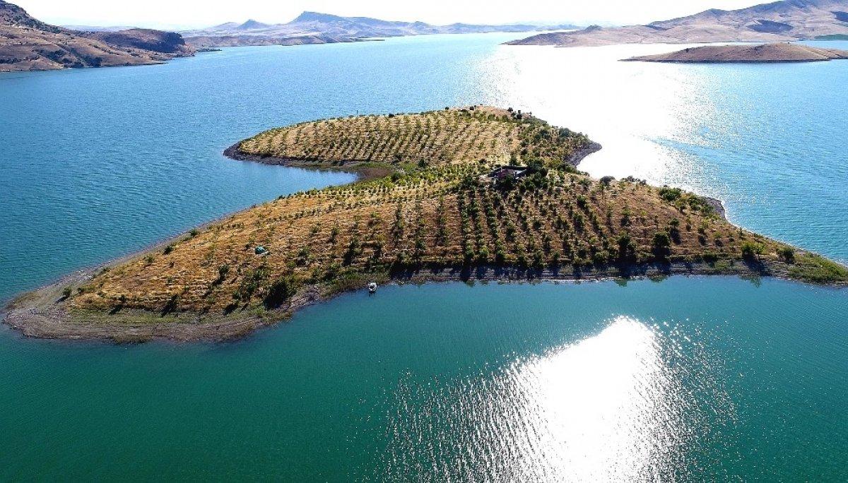 Ziya dede 4 saatlik izinde adasına koştu