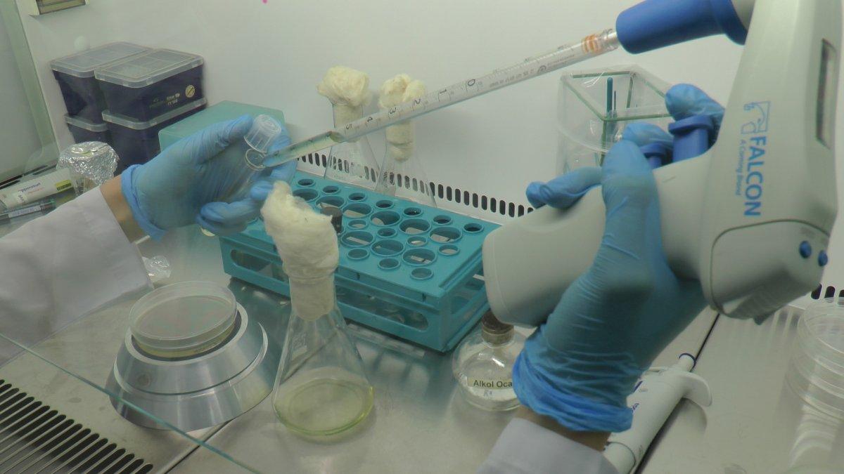 TÜBİTAK aşı çalışmalarına hız verdi