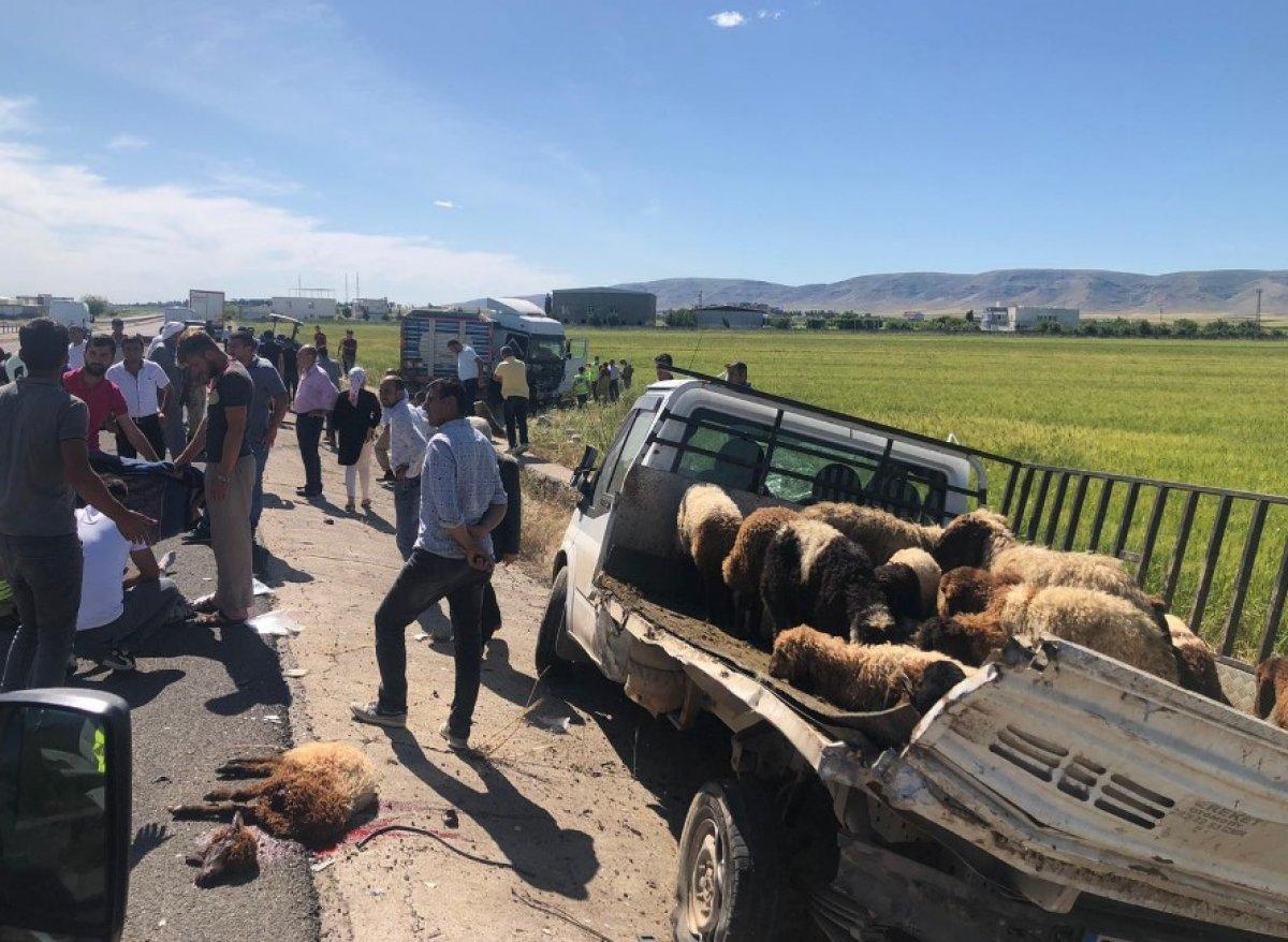 Mardin'de tır, hayvan yüklü kamyonete çaptı: 1 ölü, 3 yaralı