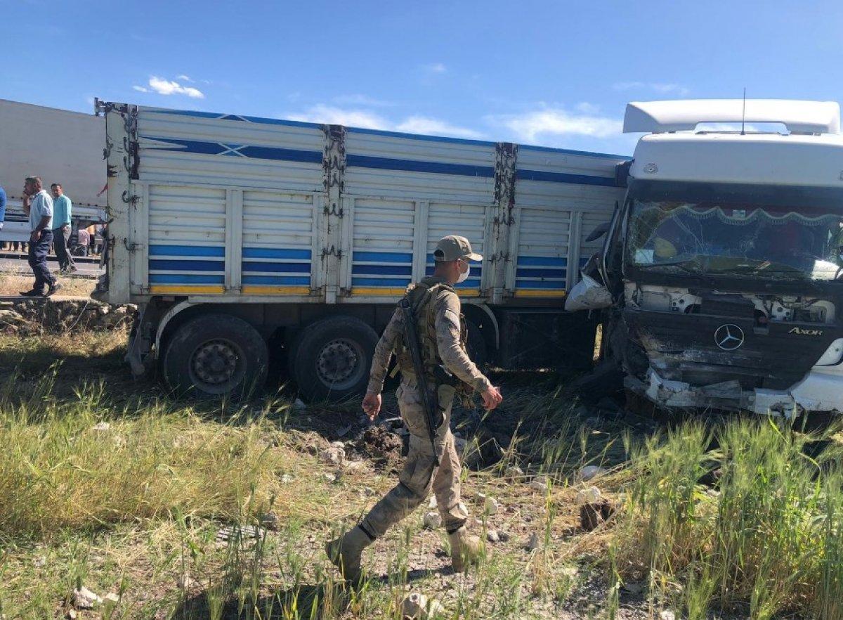 Mardin'de tır, hayvan yüklü kamyonete çaptı: 1 ölü, 3 yaralı