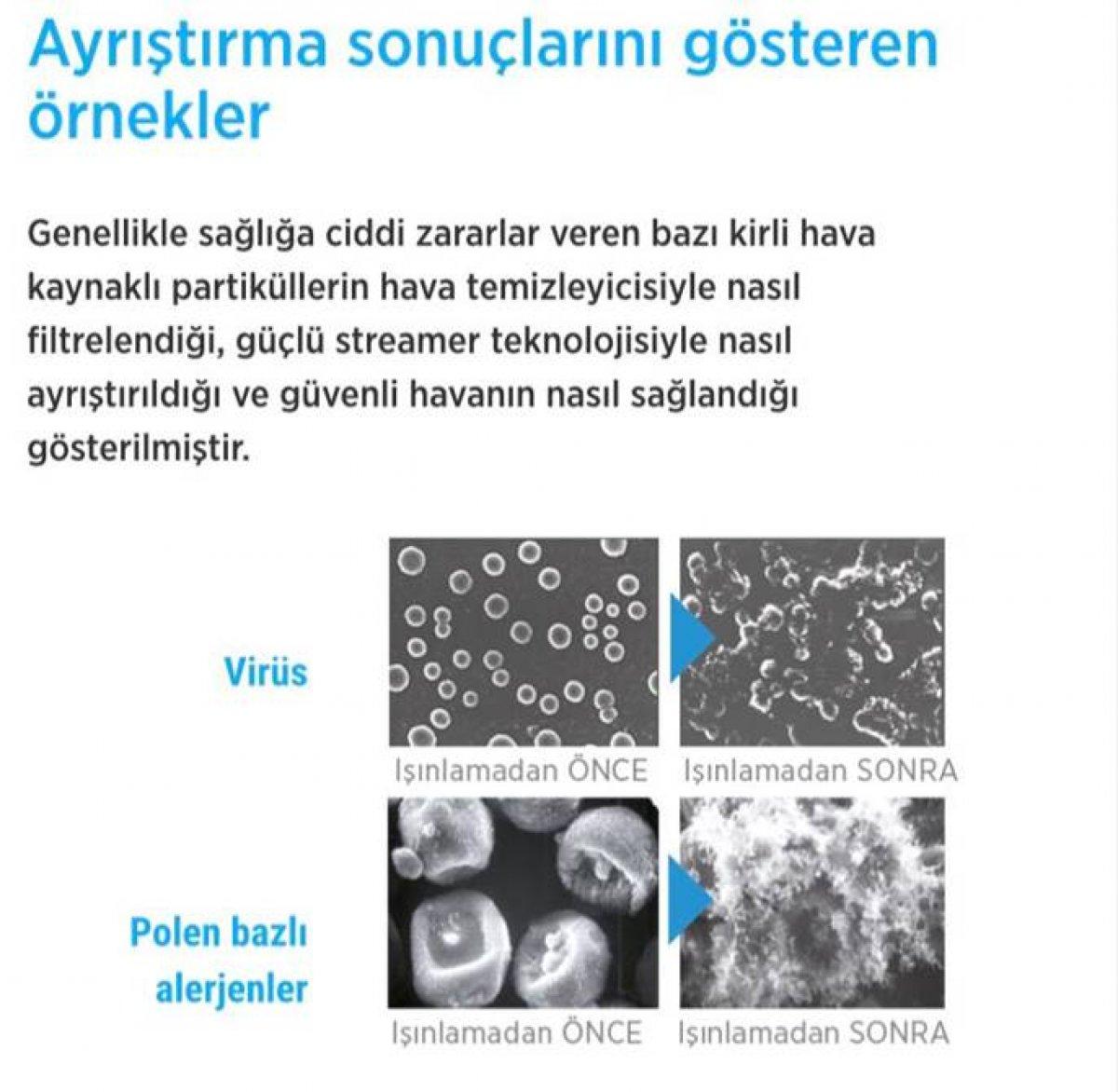 Ertex Auto Dizayn'dan havayı temizleyen VIP minibüs