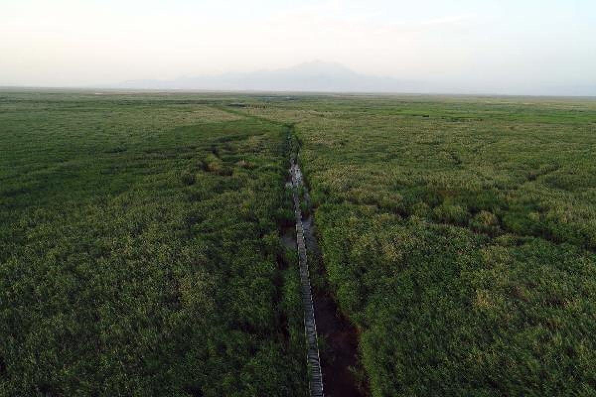Kayseri'deki Sultan Sazlığı'nı görenler hayran kalıyor