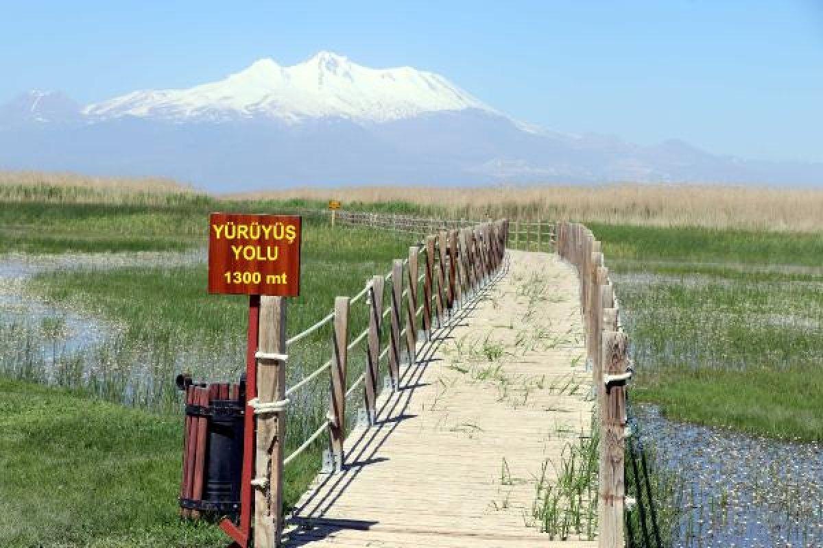 Kayseri'deki Sultan Sazlığı'nı görenler hayran kalıyor