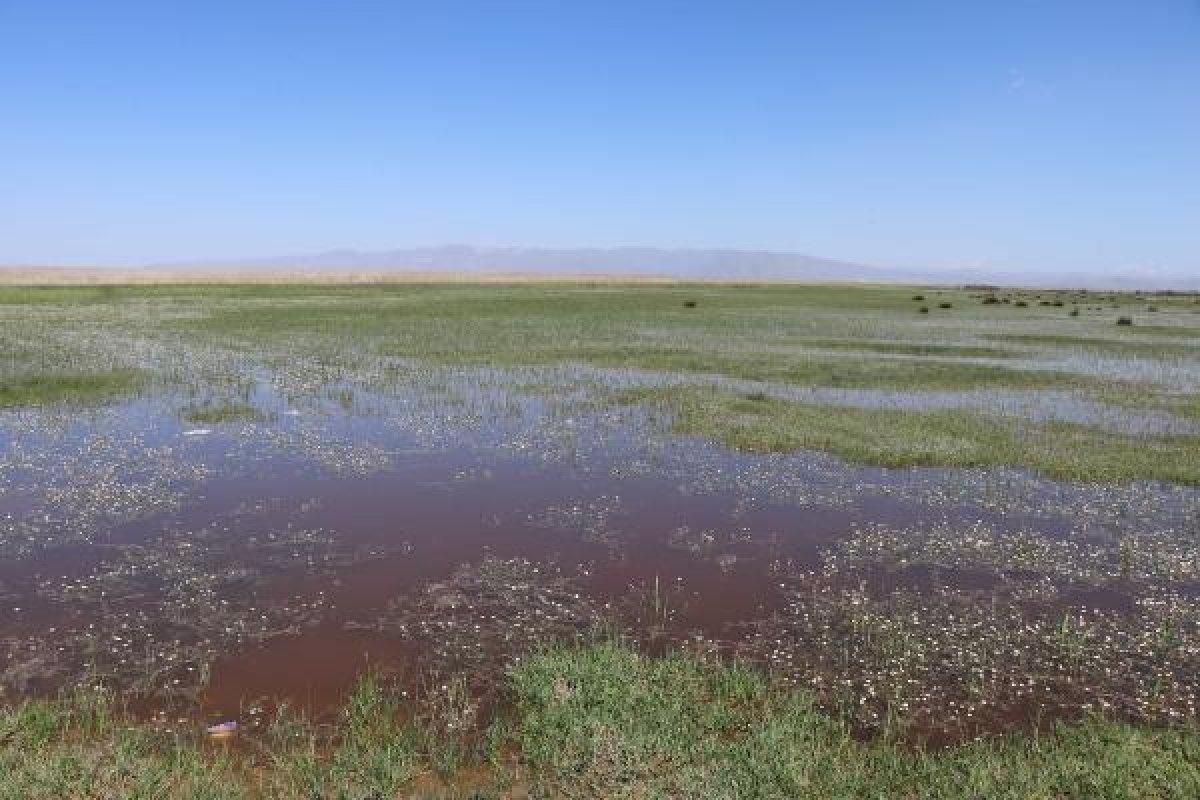Kayseri'deki Sultan Sazlığı'nı görenler hayran kalıyor