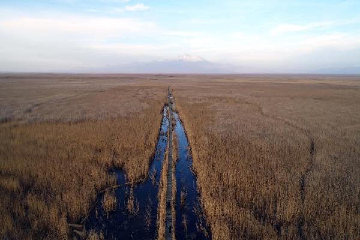 Kayseri'deki Sultan Sazlığı'nı görenler hayran kalıyor
