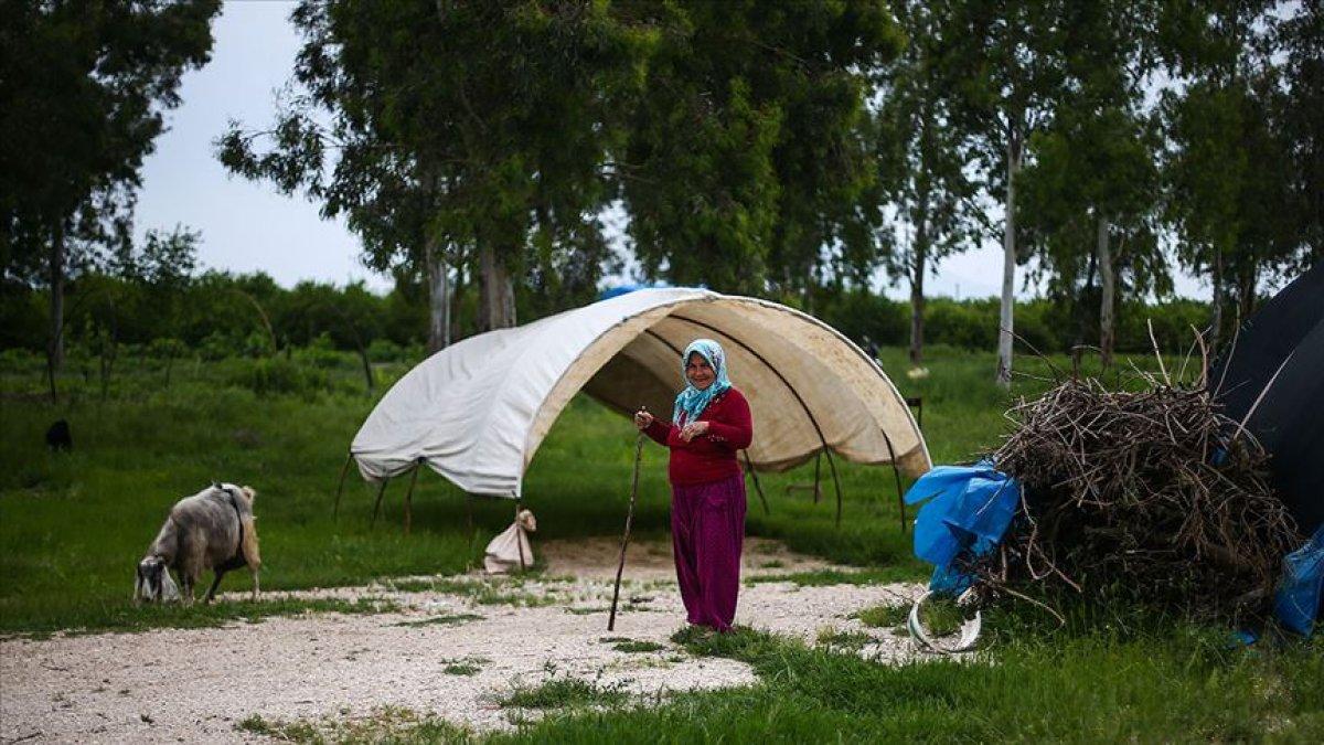 Çukurova'da 'sarı sıcak', tarım işçilerini zorluyor