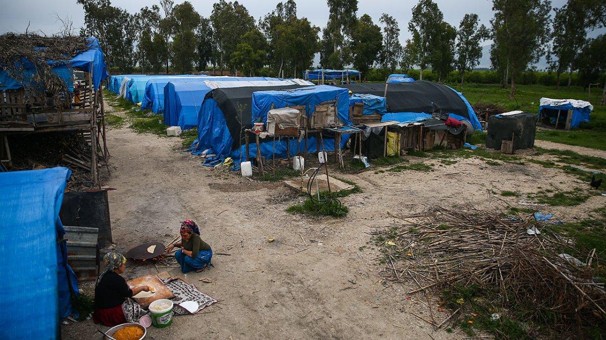 Çukurova'da 'sarı sıcak', tarım işçilerini zorluyor